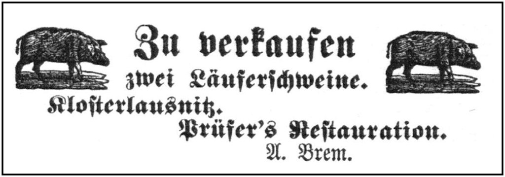 1881-03-11 Kl Laeuferschweine